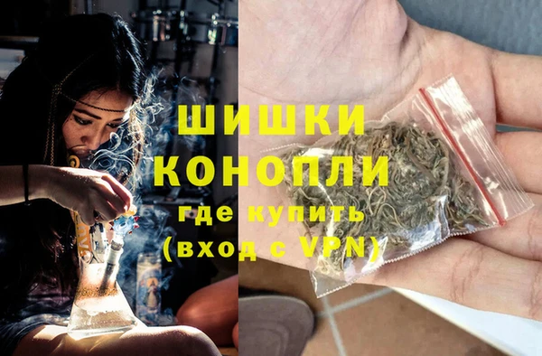 шишки Новокубанск