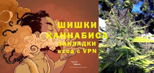 шишки Новокубанск