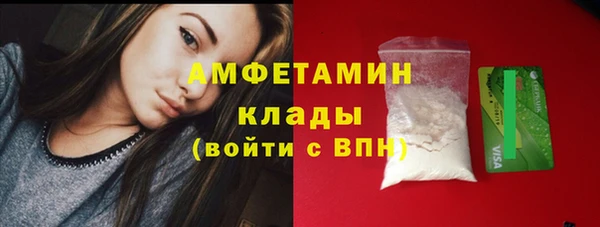 шишки Новокубанск