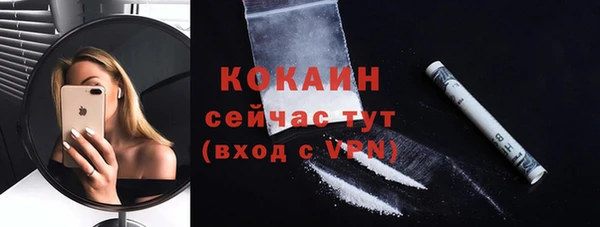 шишки Новокубанск