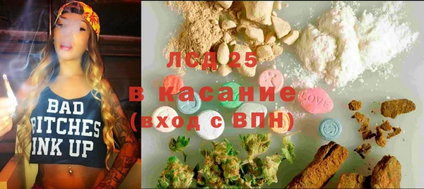 шишки Новокубанск