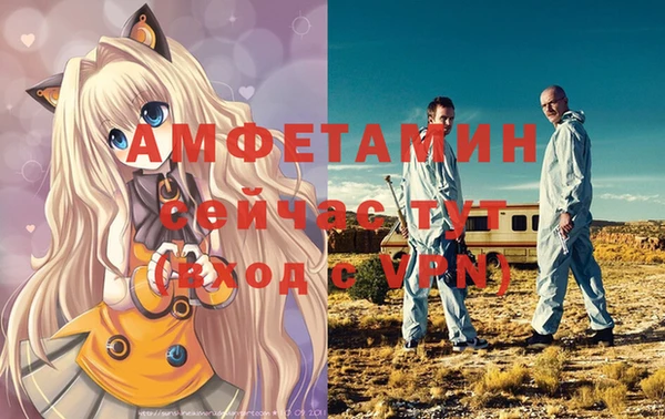 шишки Новокубанск