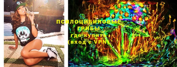 шишки Новокубанск