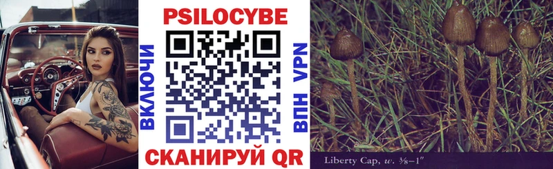 Псилоцибиновые грибы ЛСД Обоянь